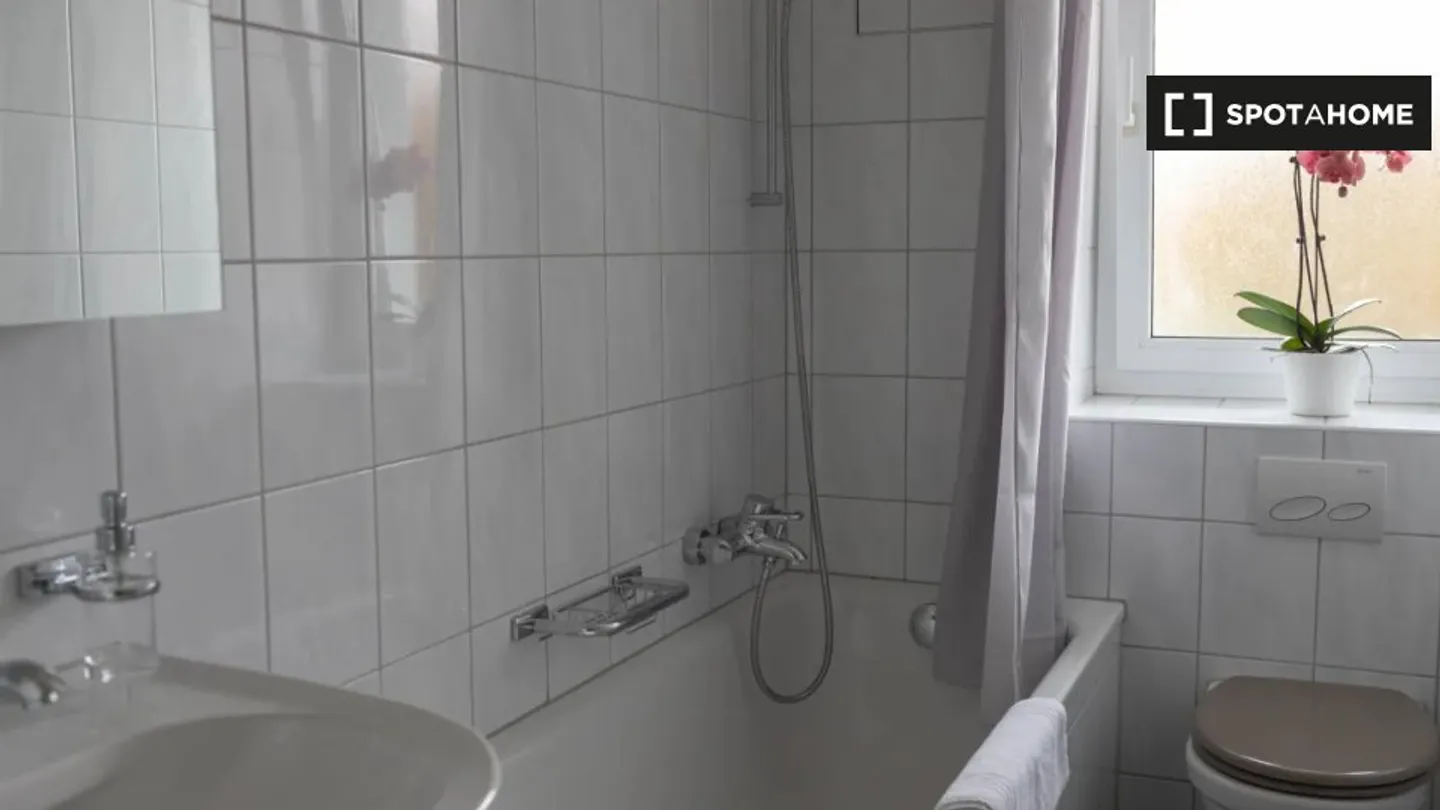 Charmante Wohnung in Zürich - Foto 7 von 8