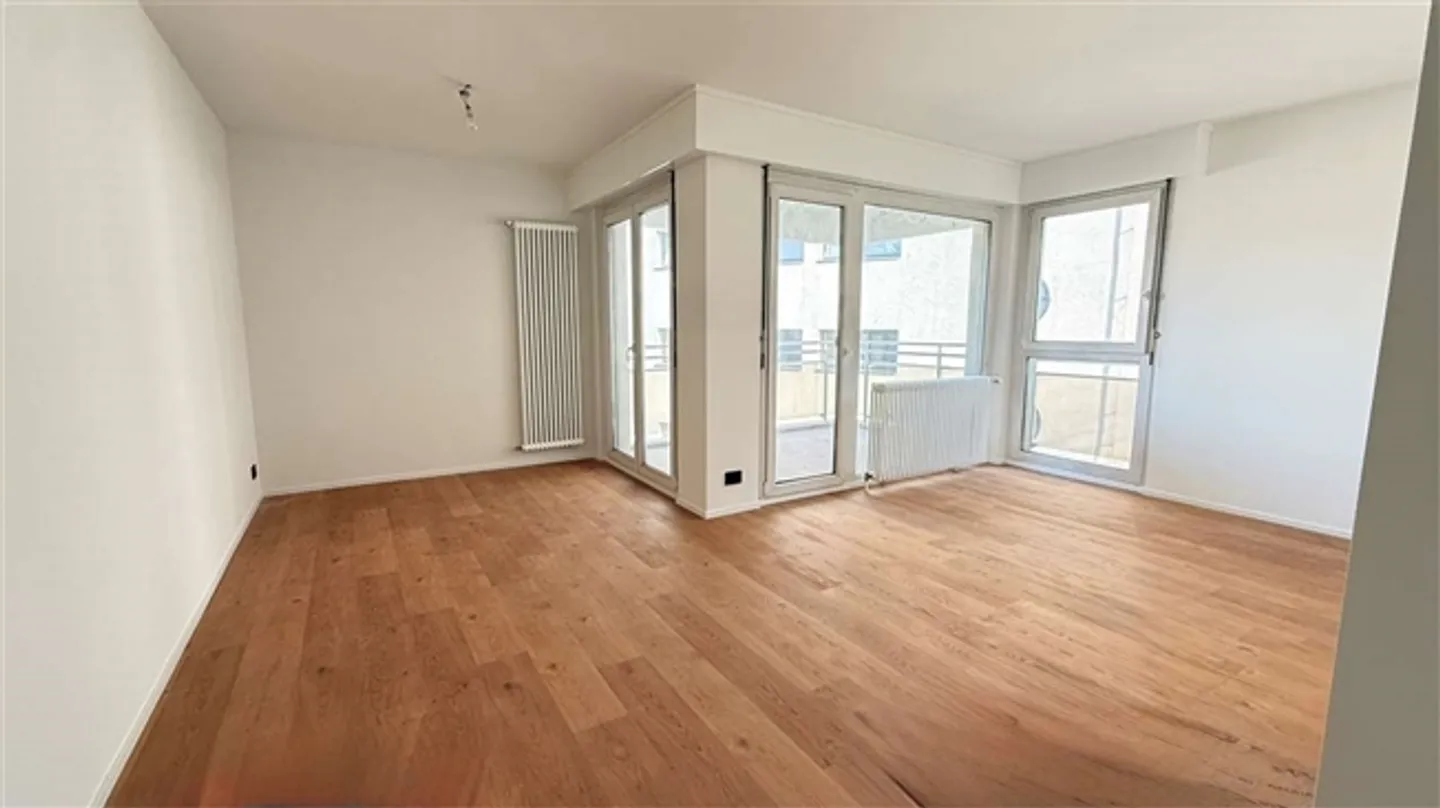 CRYPTO FRIENDLY - 3,5 completamente ristrutturato con terrazza a Paradiso - Foto 2 di 20