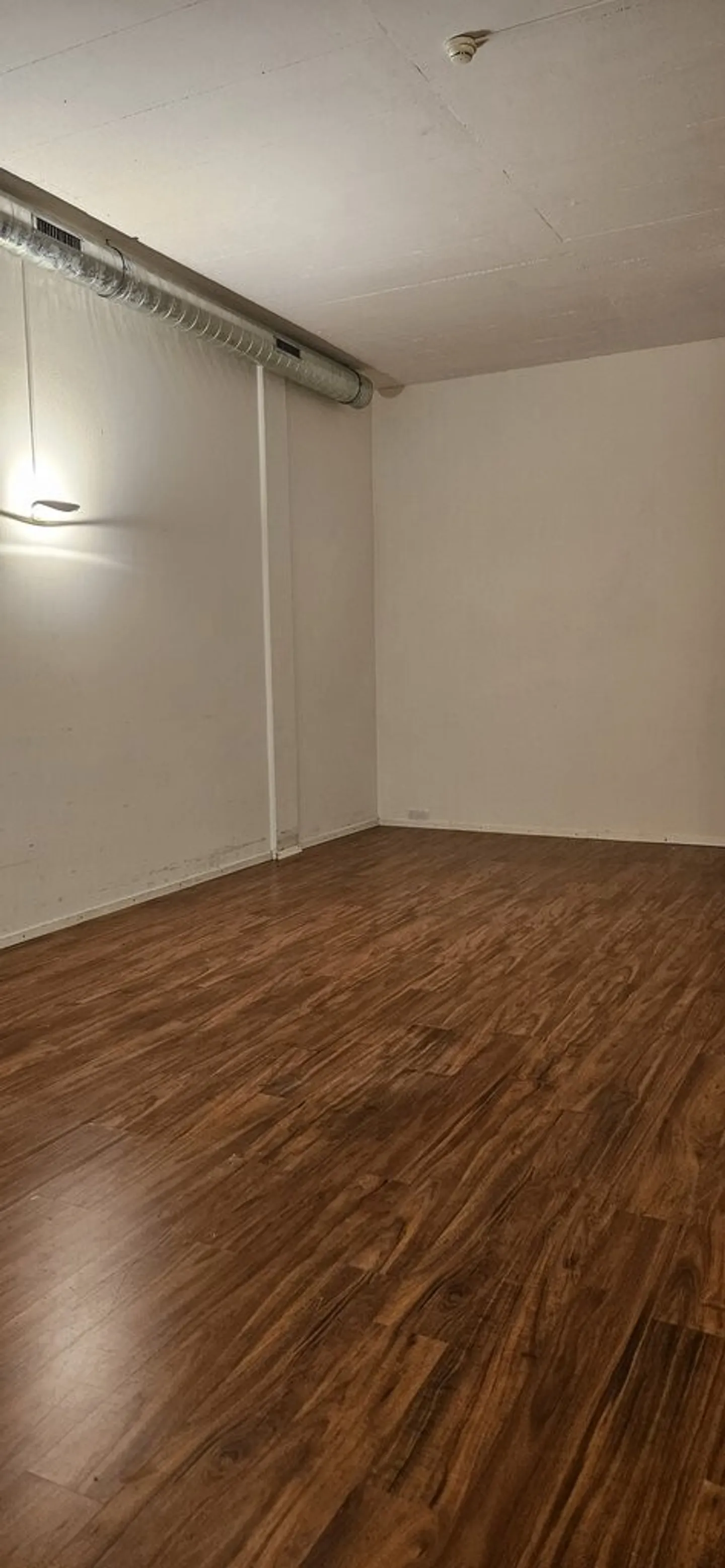 Surface de 69 m2 et local de stockage de 54 m2 à louer à Belmont - Photo 6 sur 12