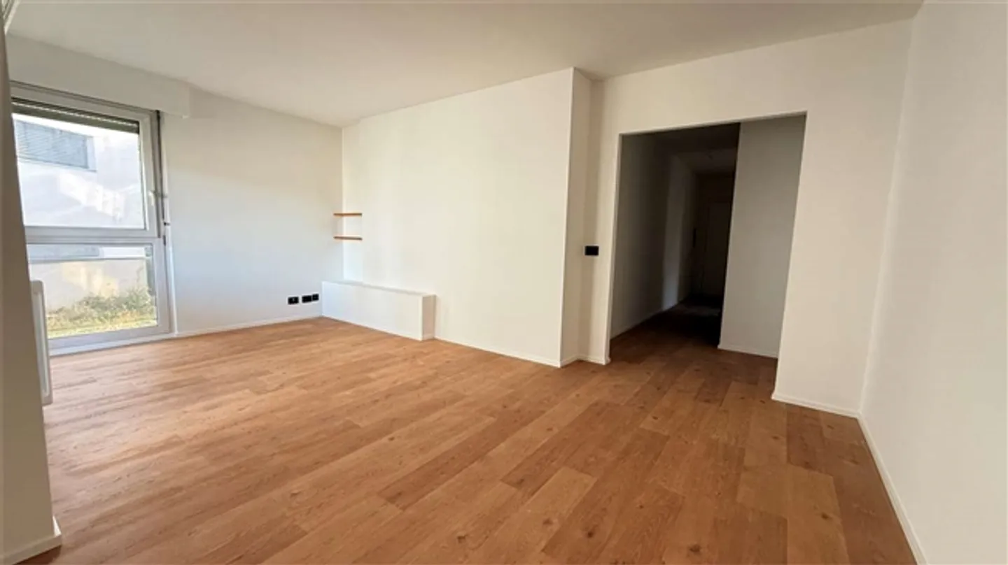 CRYPTO FRIENDLY - 3,5 completamente ristrutturato con terrazza a Paradiso - Foto 6 di 20