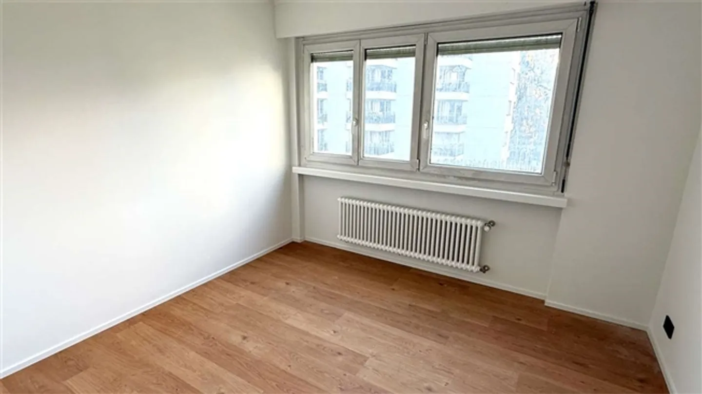 CRYPTO FRIENDLY - 3,5 completamente ristrutturato con terrazza a Paradiso - Foto 10 di 20