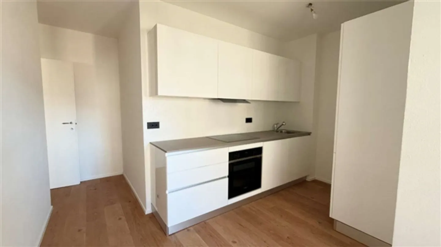 CRYPTO FRIENDLY - 3,5 completamente ristrutturato con terrazza a Paradiso - Foto 11 di 20