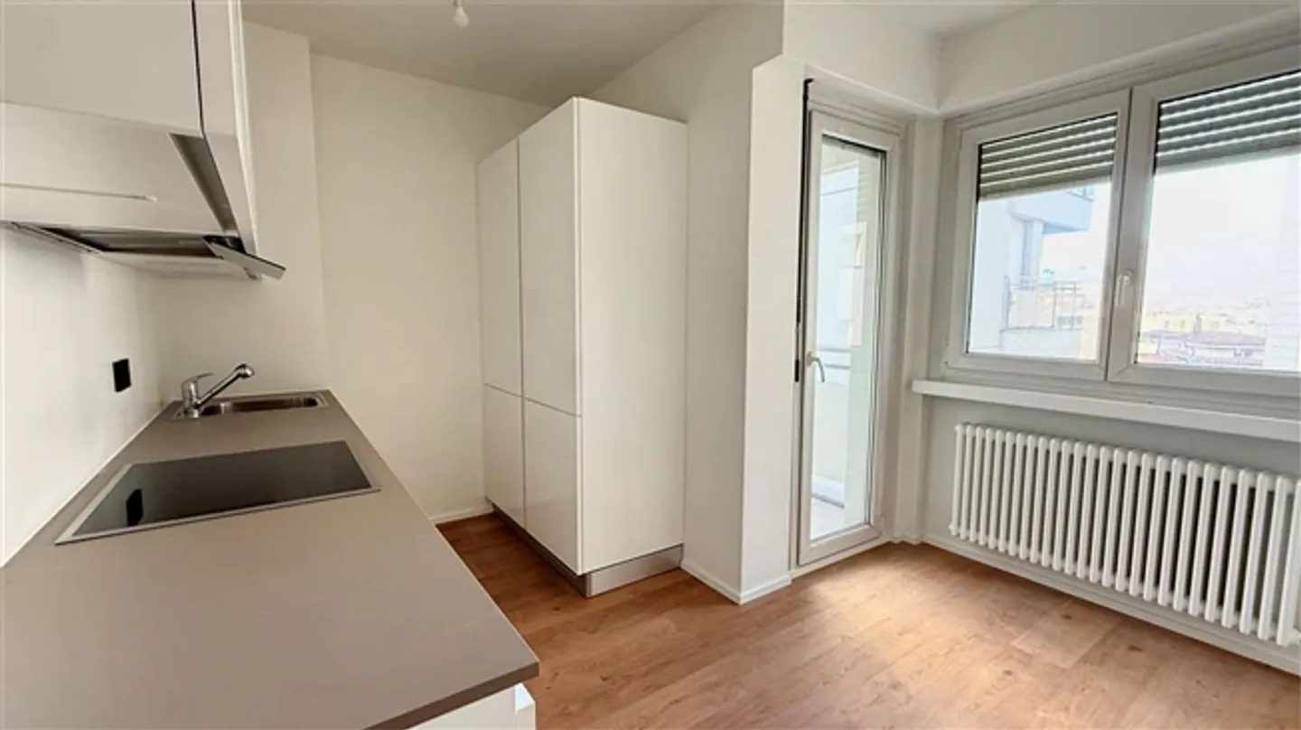 CRYPTO FRIENDLY - 3,5 completamente ristrutturato con terrazza a Paradiso - Foto 12 di 20