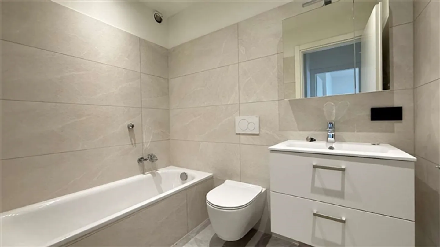 CRYPTO FRIENDLY - 3,5 completamente ristrutturato con terrazza a Paradiso - Foto 14 di 20