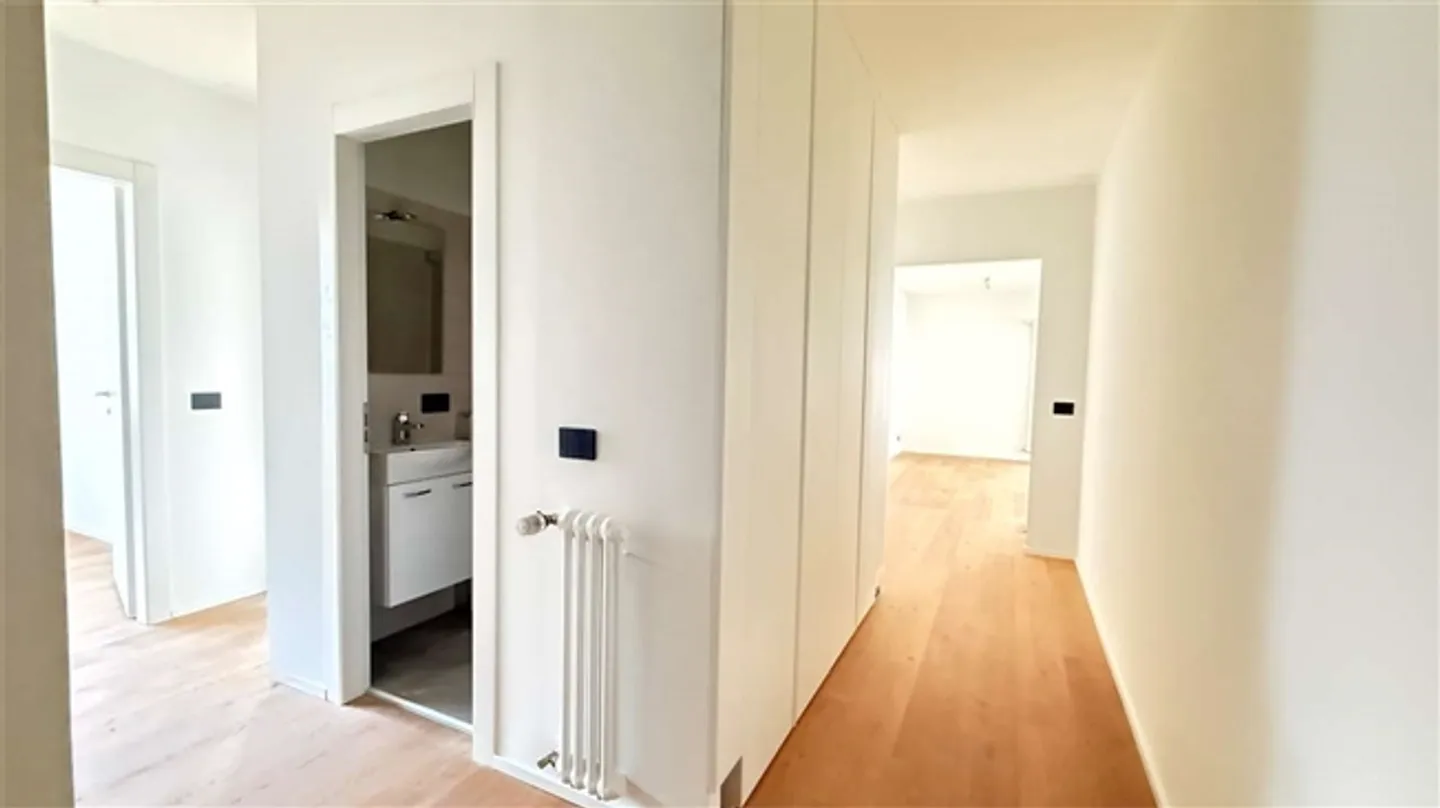 CRYPTO FRIENDLY - 3,5 completamente ristrutturato con terrazza a Paradiso - Foto 15 di 20