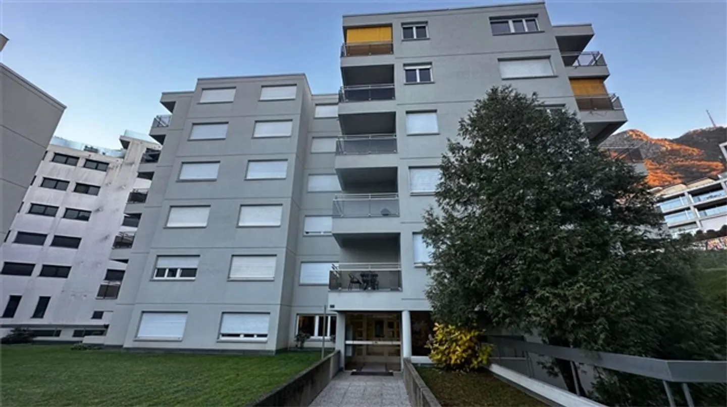 CRYPTO FRIENDLY - 3,5 completamente ristrutturato con terrazza a Paradiso - Foto 20 di 20