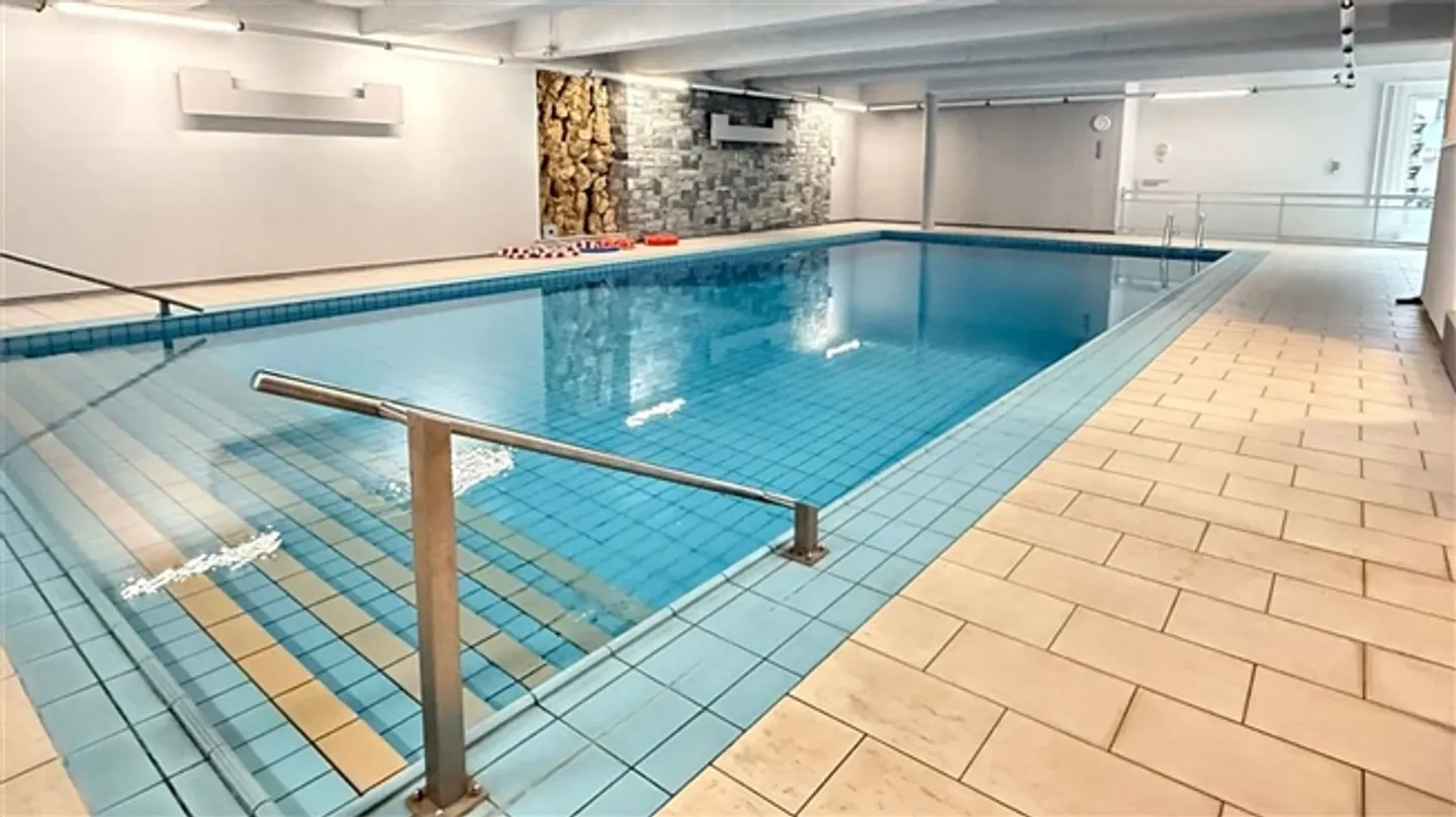 CRYPTO FRIENDLY - 3,5 completamente ristrutturato con terrazza a Paradiso - Foto 18 di 20