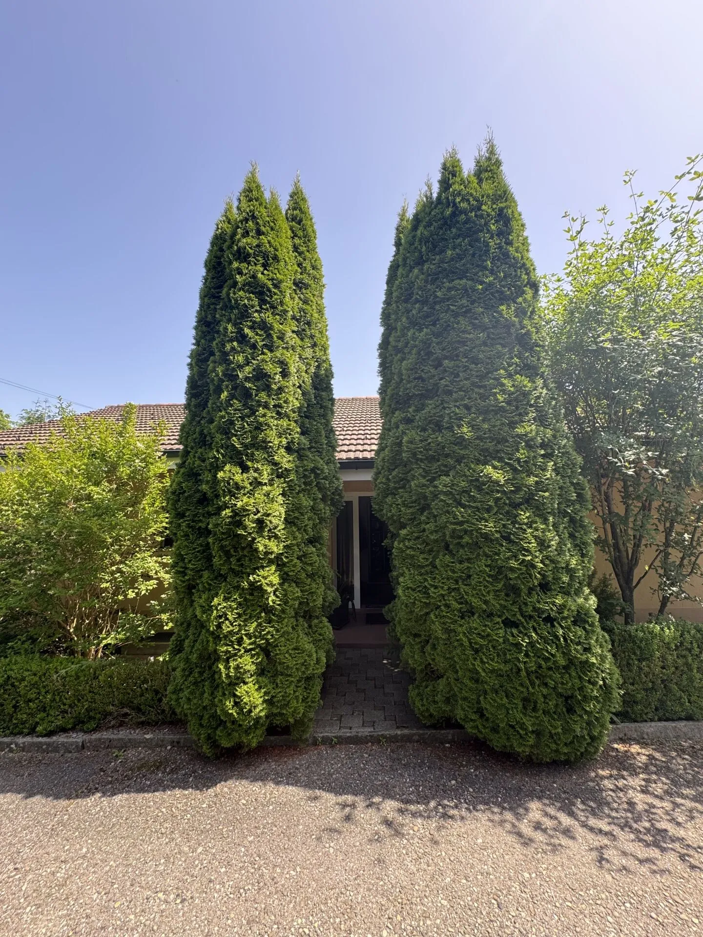 Casa unifamiliare con appartamento separato e grande terrazza - Foto 10 di 25