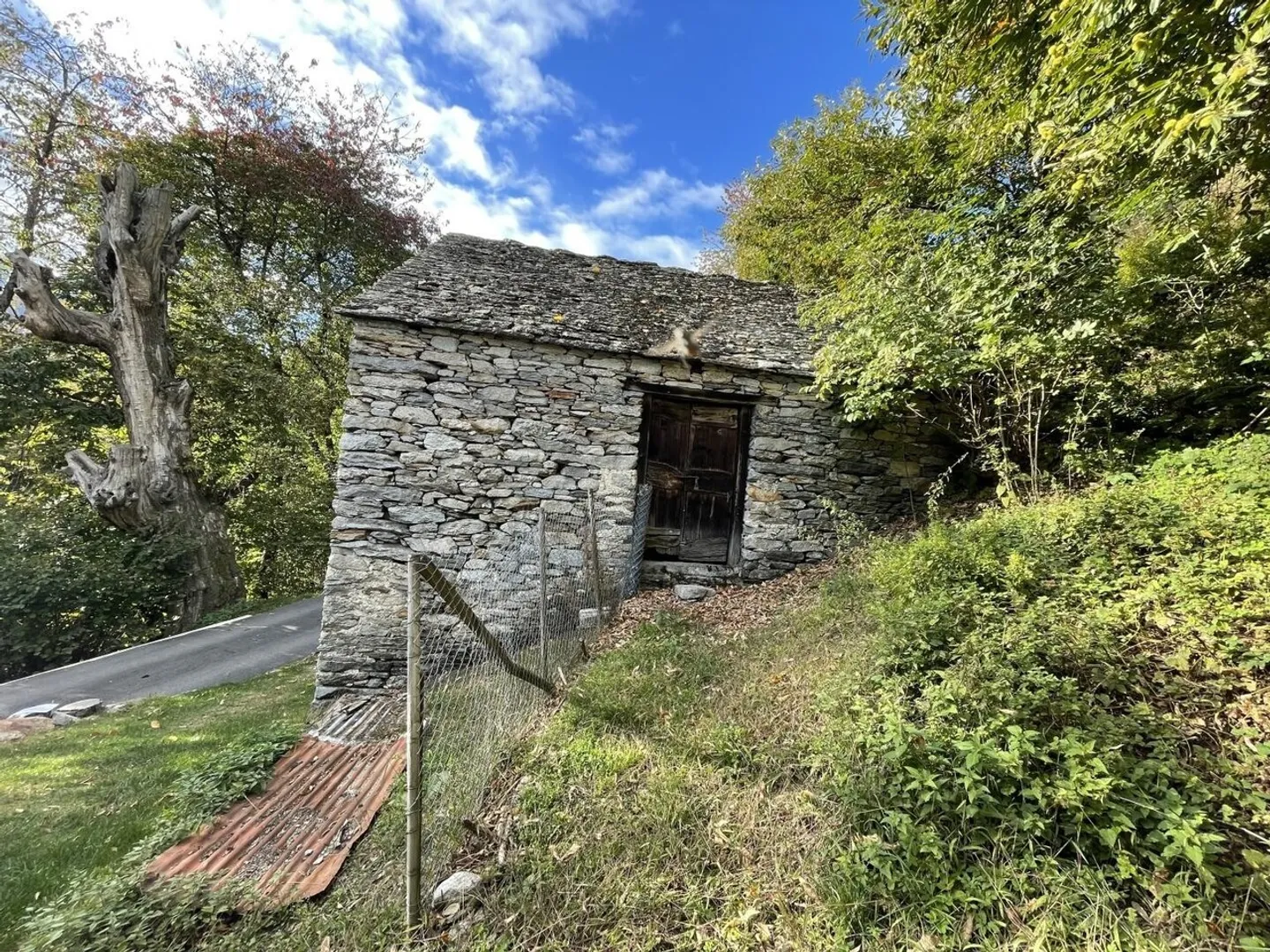 Rustico mit 2 Zimmern zum Ausbauen mit Wiese und Wald - Foto 2 von 13