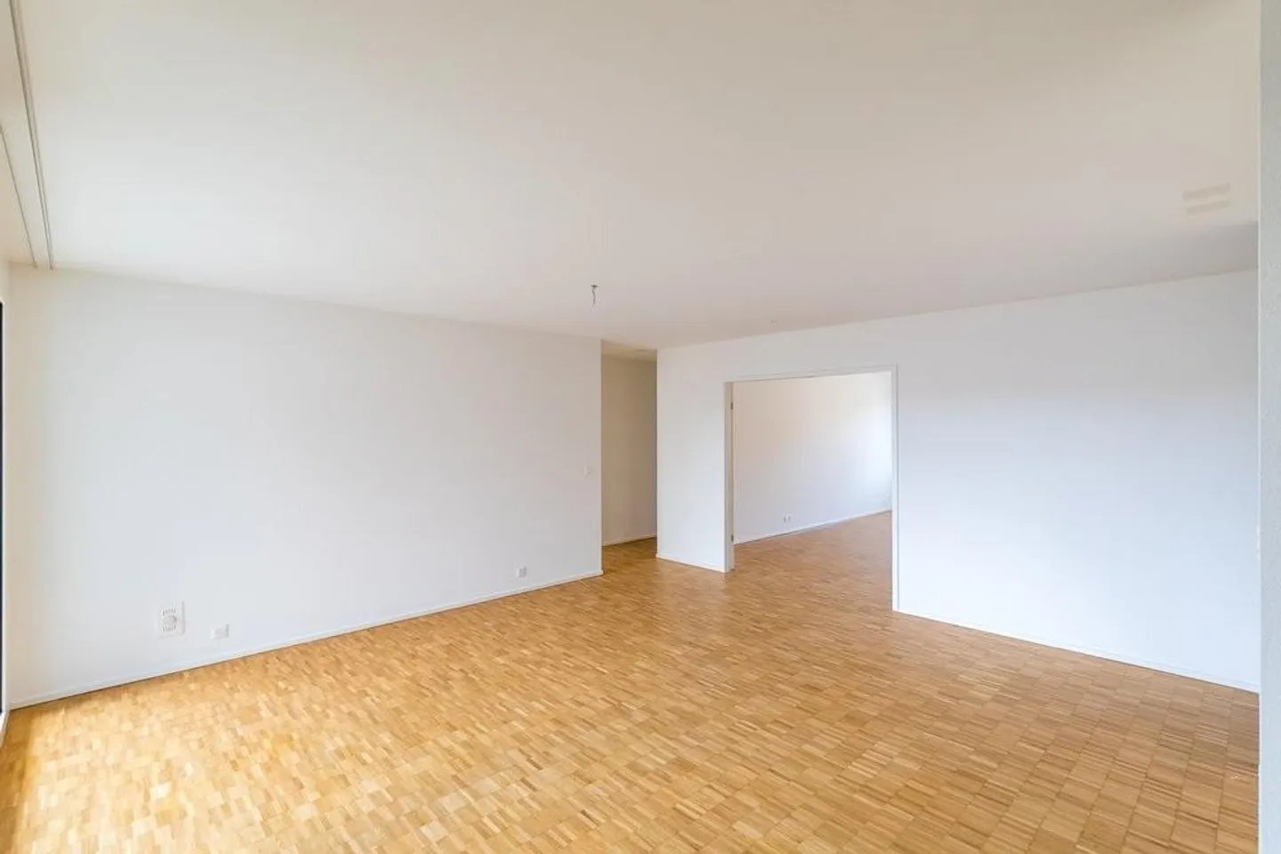 Vie urbaine près du Rhin - Photo 5 sur 12