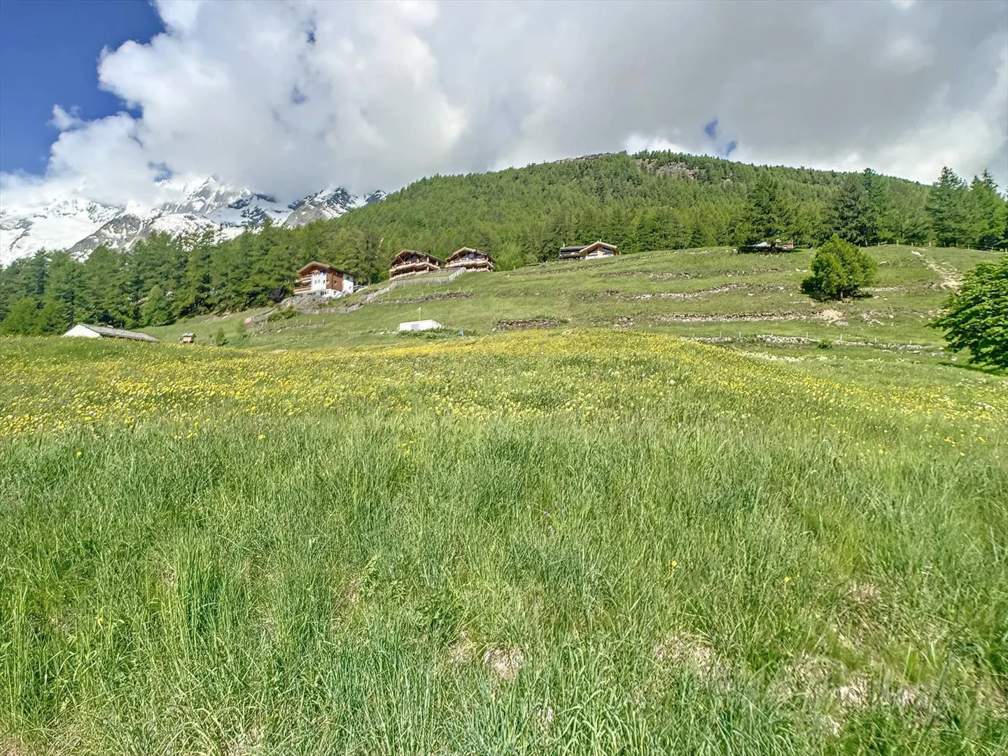 Terreno edificabile perfettamente situato - Foto 3 di 8