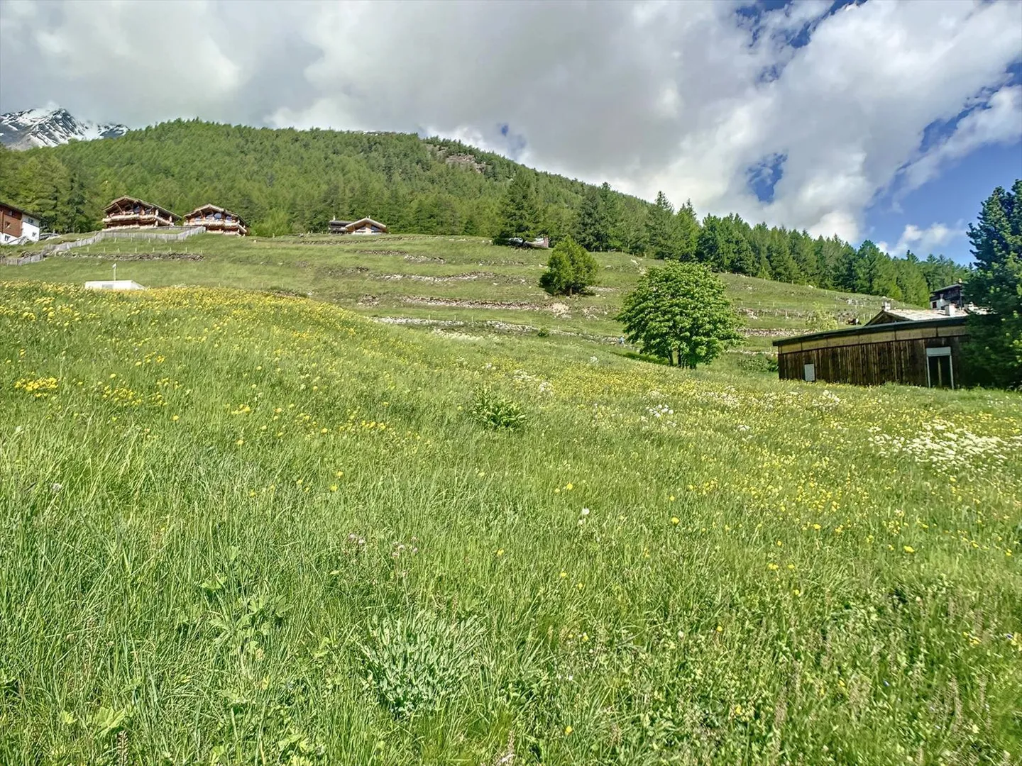 Terreno edificabile perfettamente situato - Foto 4 di 8