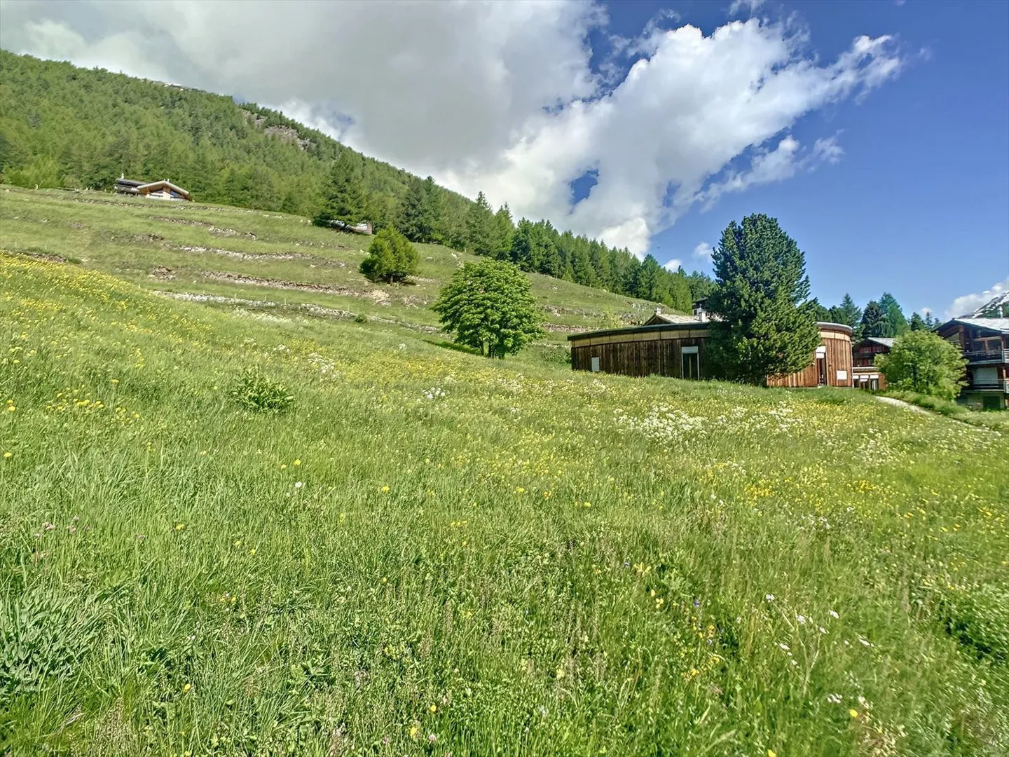 Terreno edificabile perfettamente situato - Foto 5 di 8