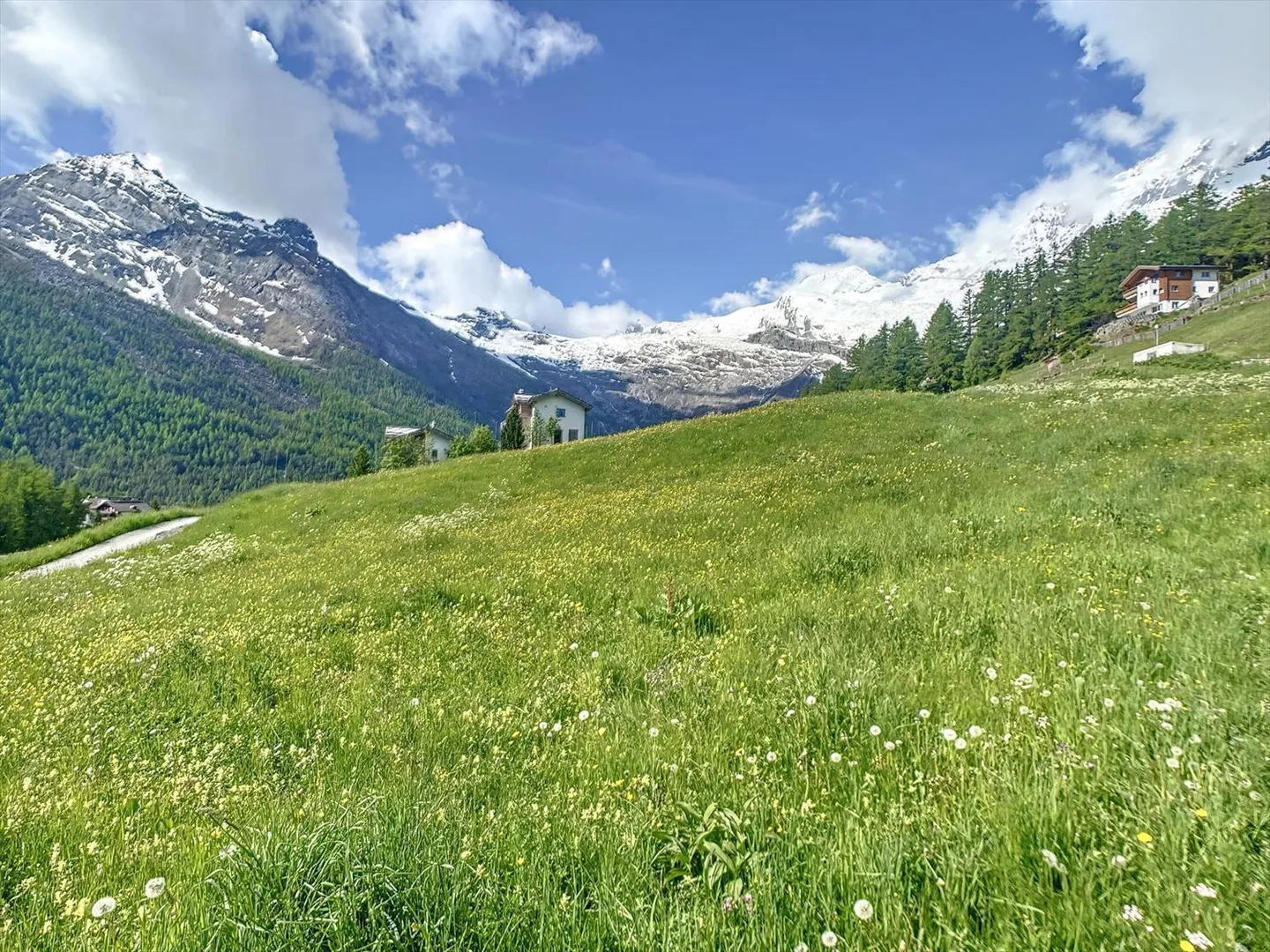 Terreno edificabile perfettamente situato - Foto 6 di 8