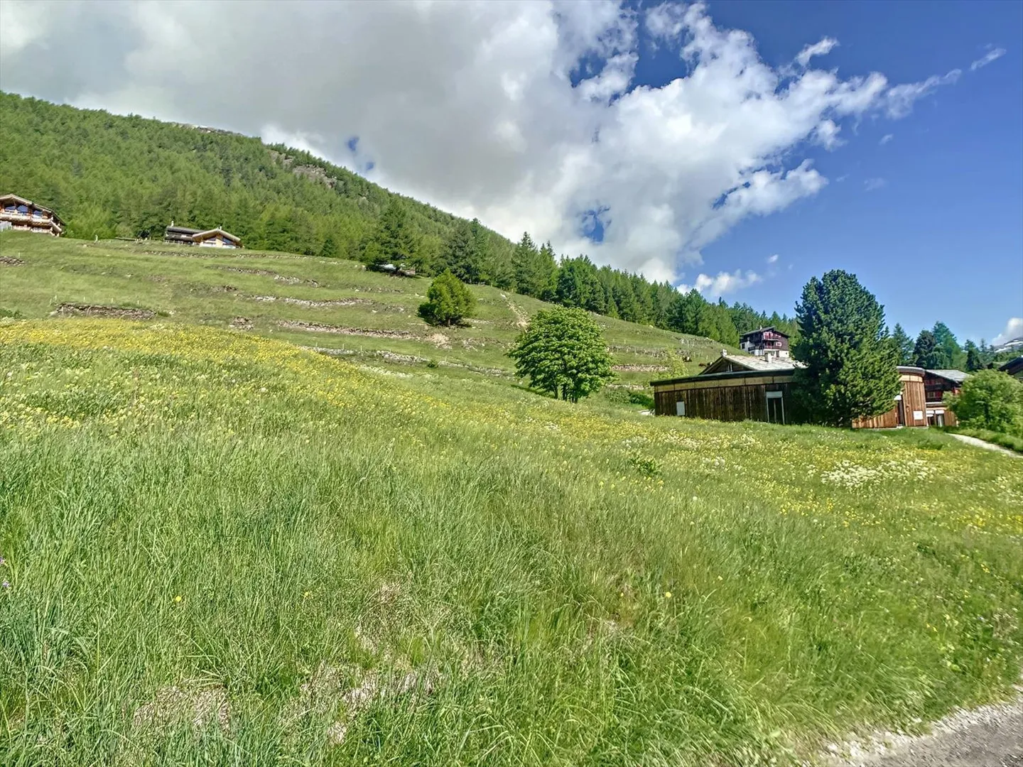 Terreno edificabile perfettamente situato - Foto 8 di 8