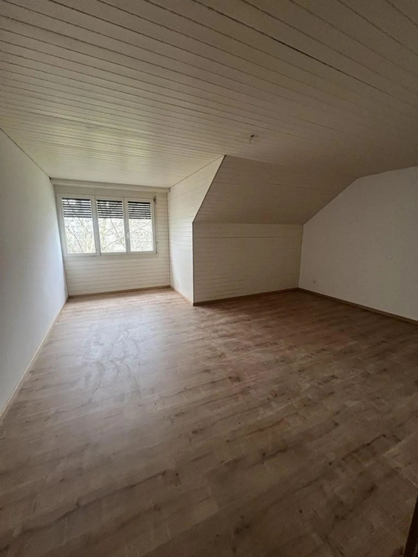 Family apartment seeks residents - Photo 4 of 8