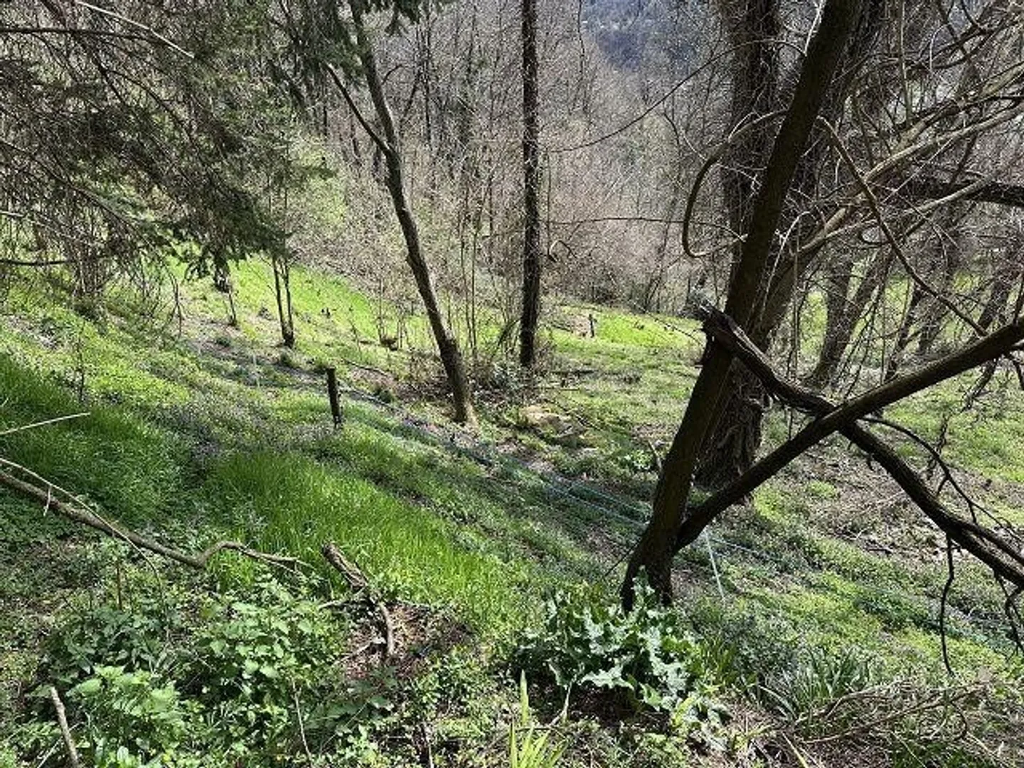 Charmantes Renovierungshaus - Foto 10 von 13