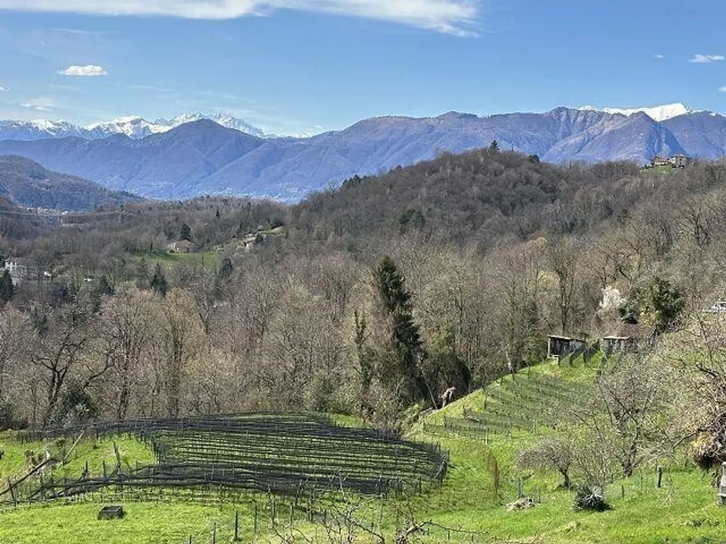 Charmantes Renovierungshaus - Foto 8 von 13