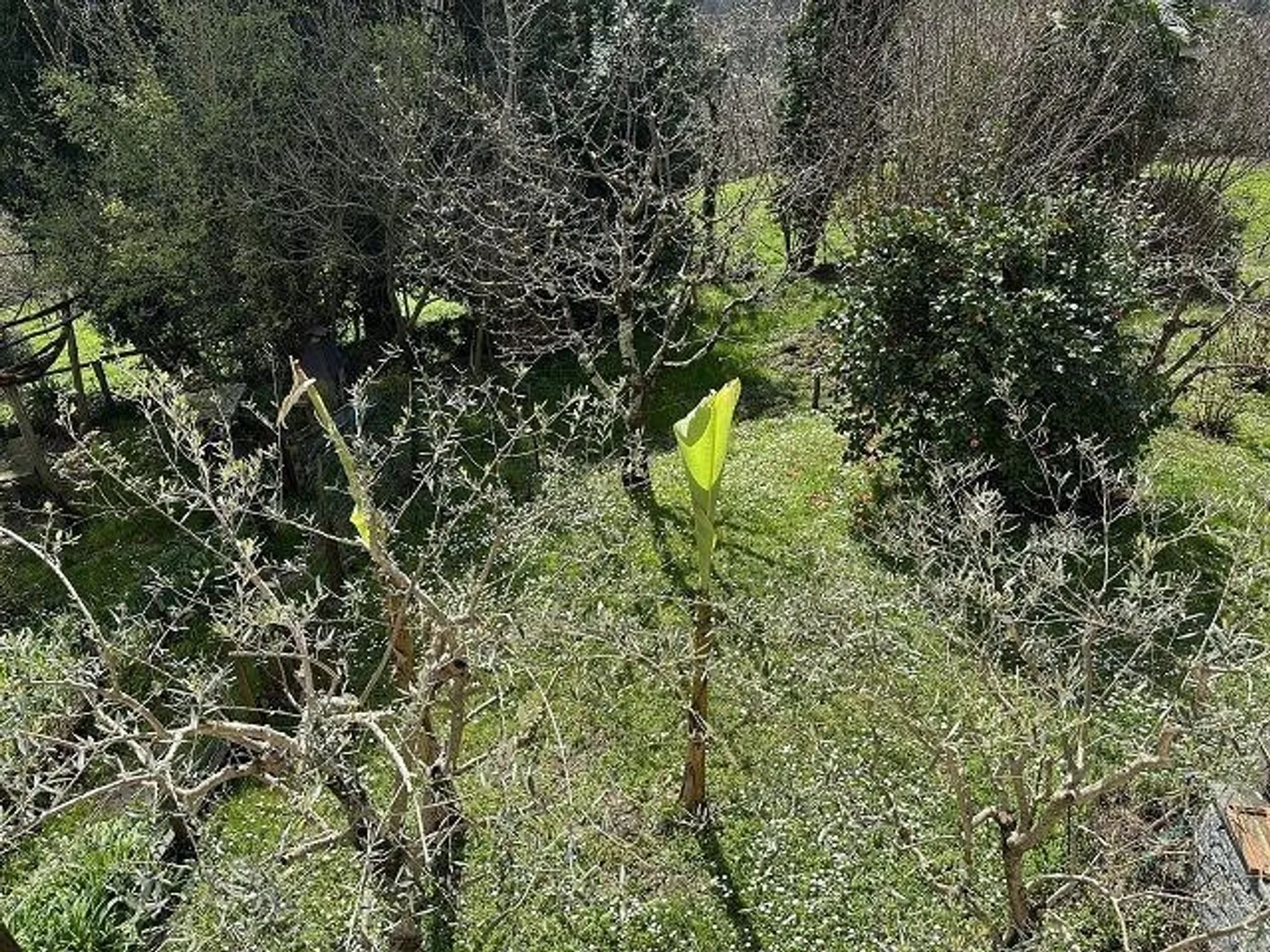 Charmantes Renovierungshaus - Foto 13 von 13