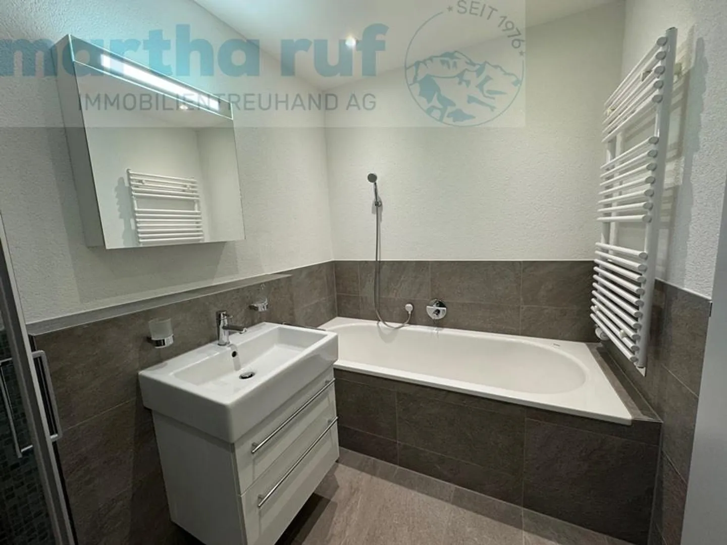 Modern Multi-Family Home in Interlaken - Photo 9 of 12