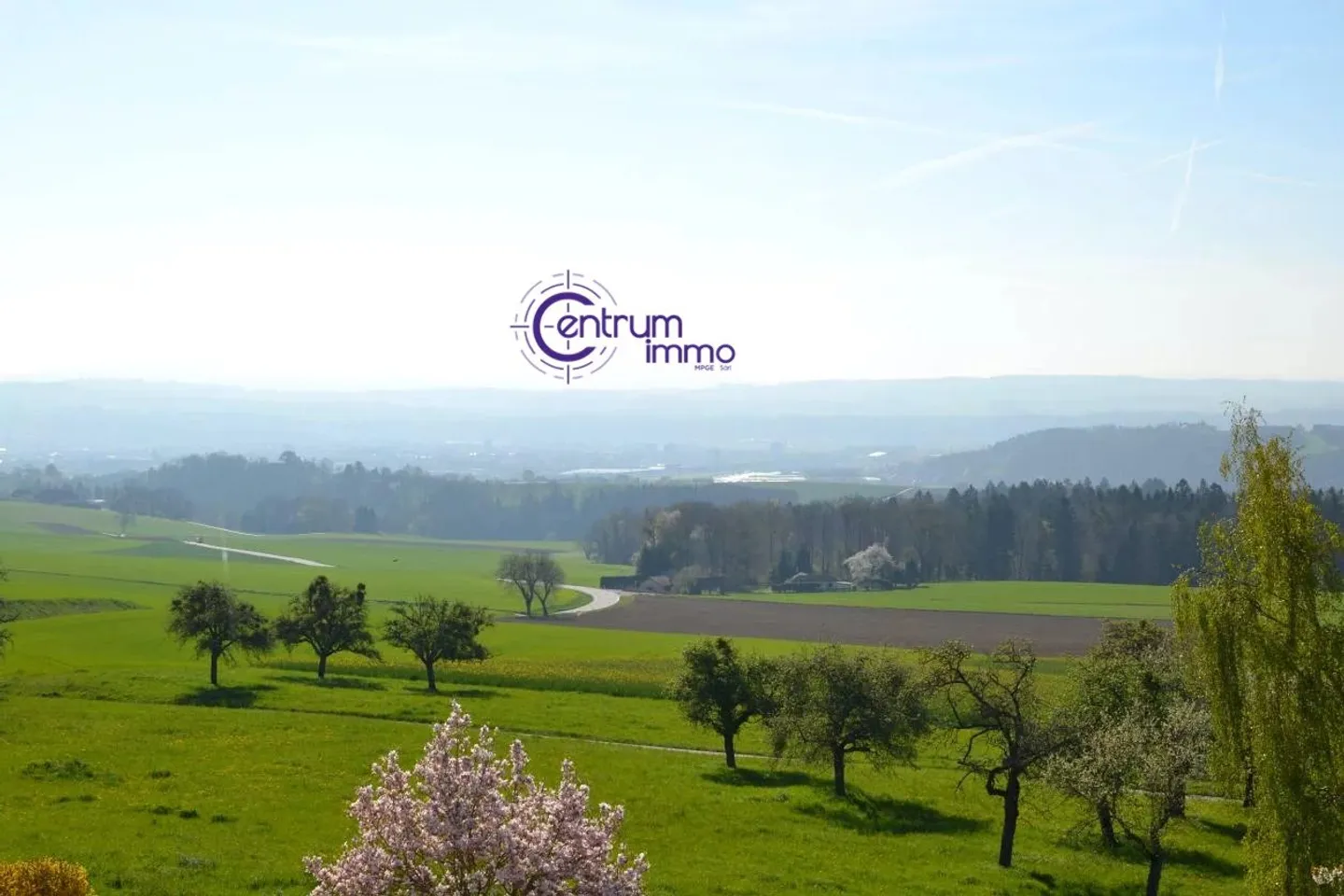 Einfamilienhaus kaufen - Foto 4 von 13