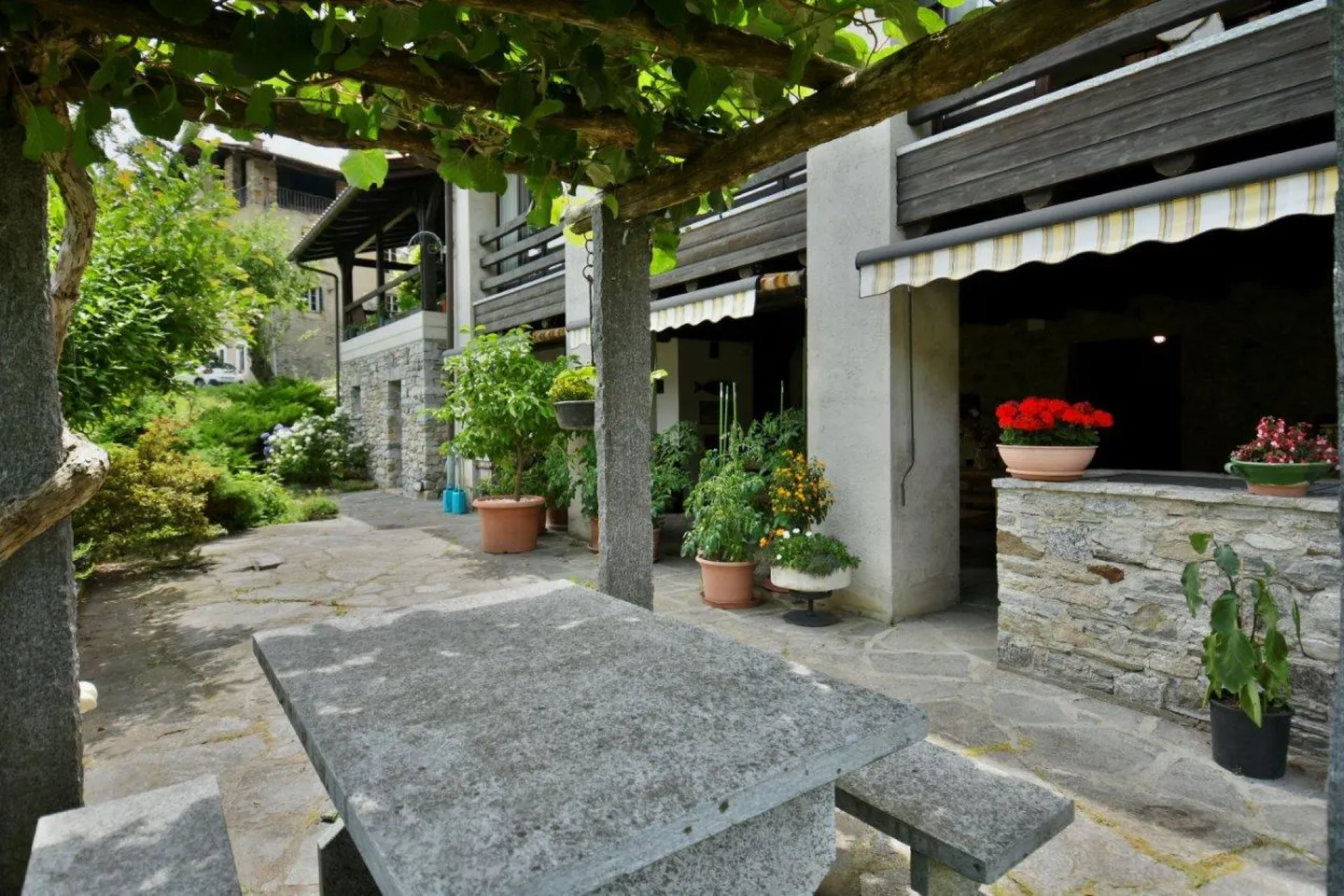 Casa ticinese con grotto, rustici e tanto terreno - Foto 9 di 15
