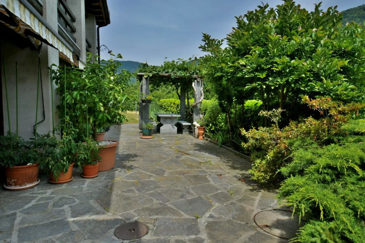 Casa ticinese con grotto, rustici e tanto terreno - Foto 11 di 15