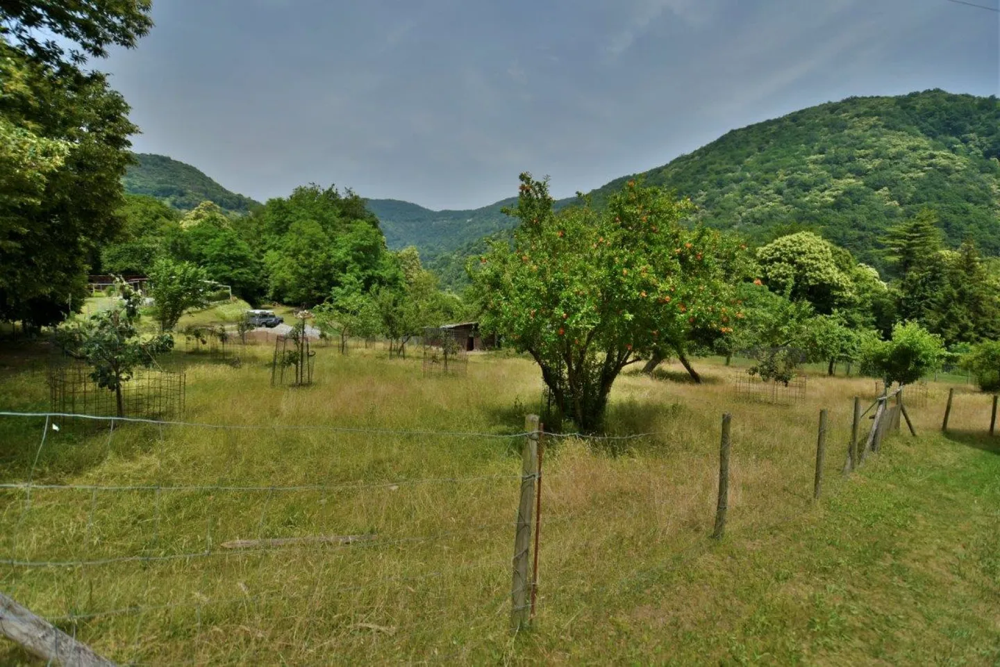 Casa ticinese con grotto, rustici e tanto terreno - Foto 12 di 15