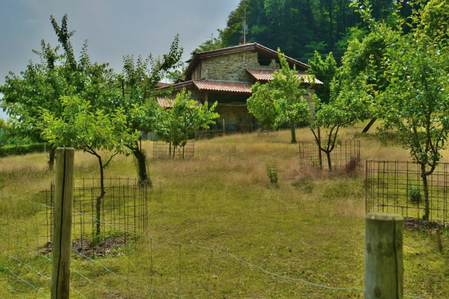 Casa ticinese con grotto, rustici e tanto terreno - Foto 13 di 15