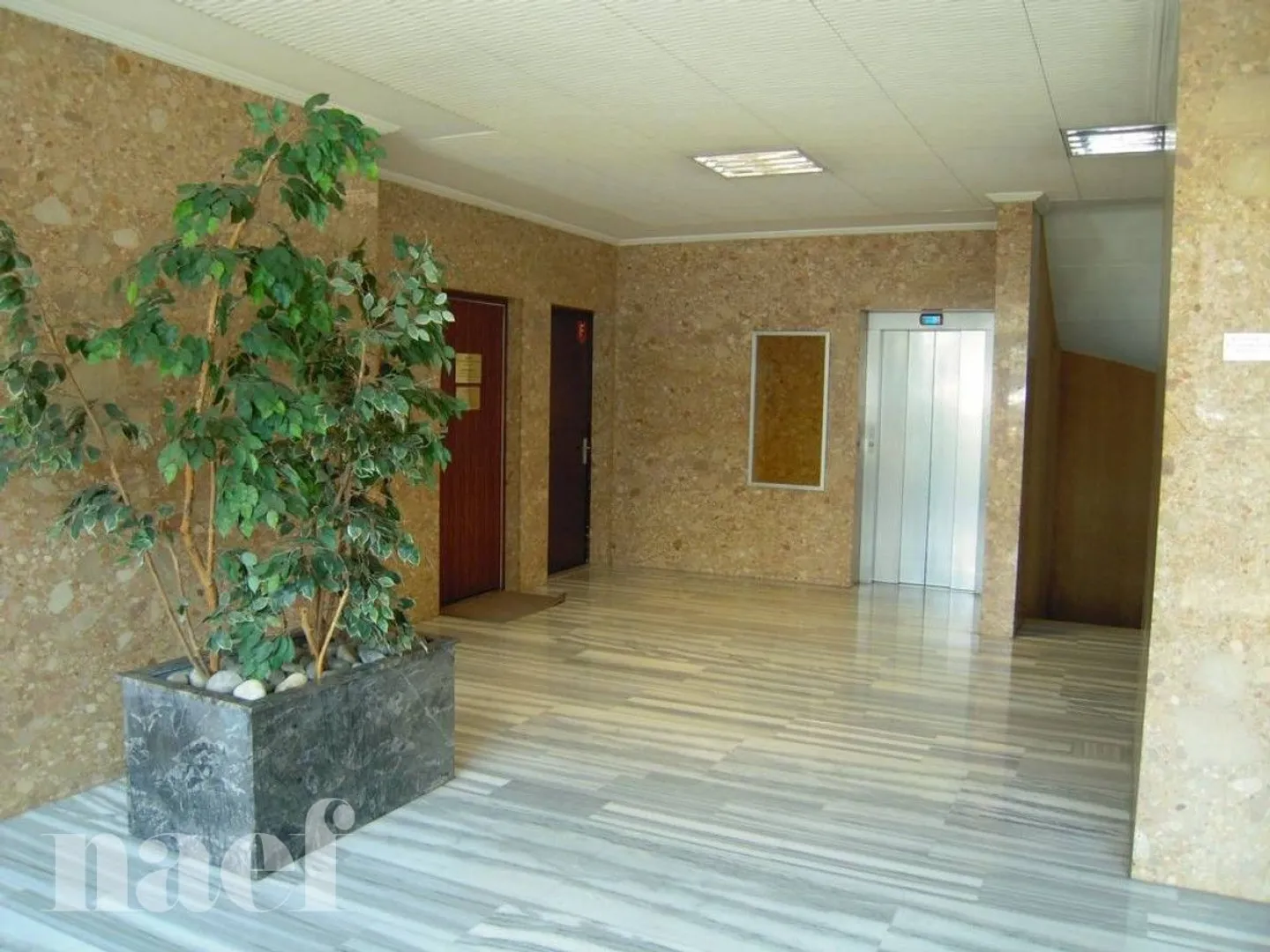 2-Zimmer-Wohnung - Foto 2 von 8