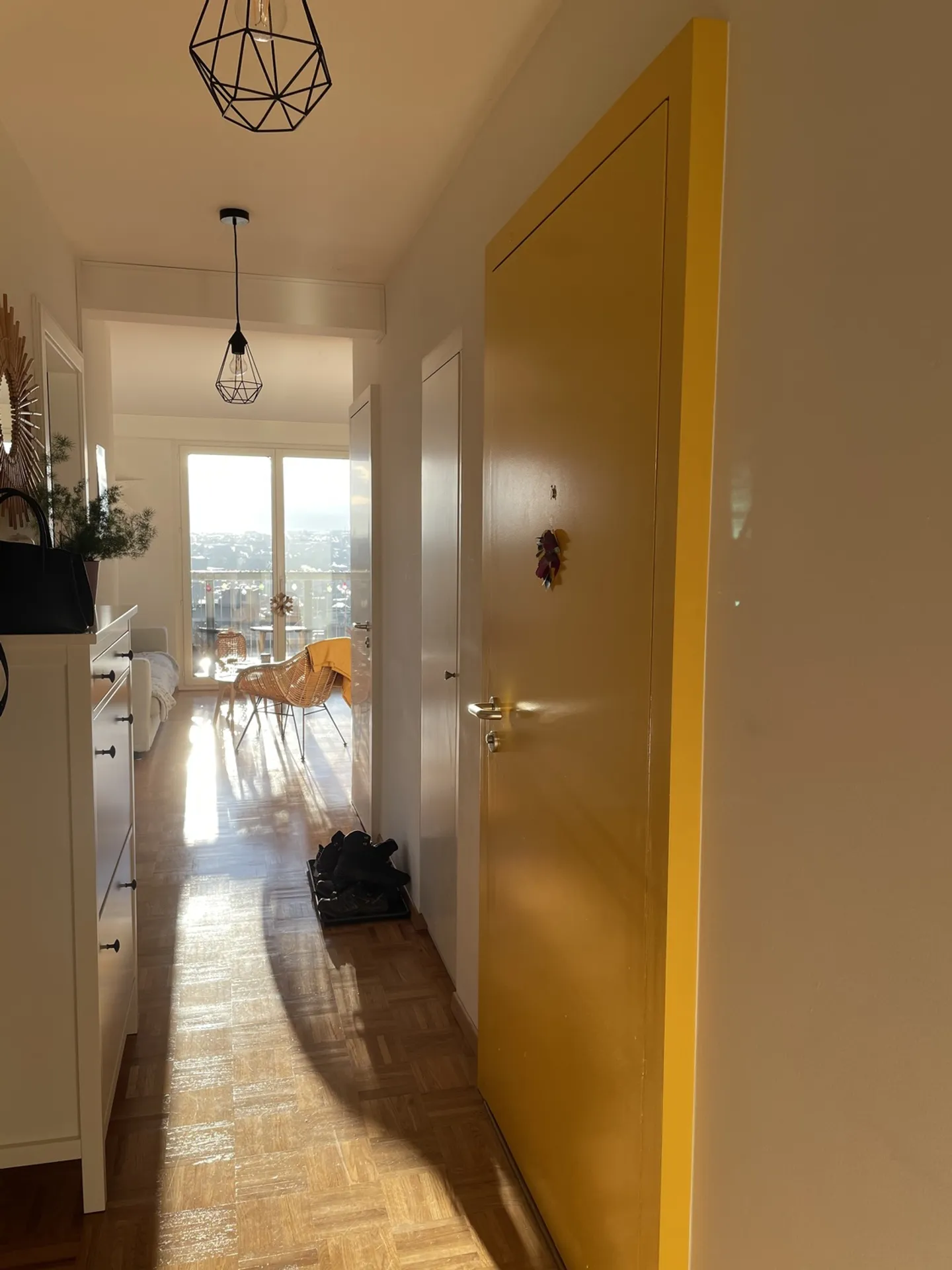 APPARTAMENTO 4 LOCALI A GINEVRA, ARREDATO, A TEMPO DETERMINATO - Foto 4 di 8