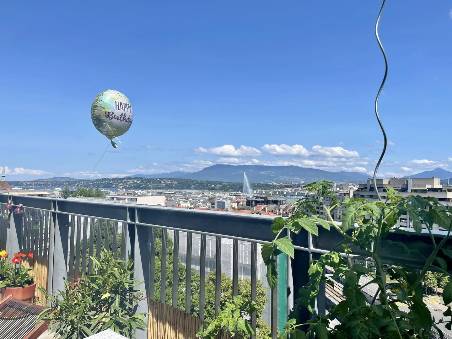 APPARTAMENTO 4 LOCALI A GINEVRA, ARREDATO, A TEMPO DETERMINATO - Foto 7 di 8