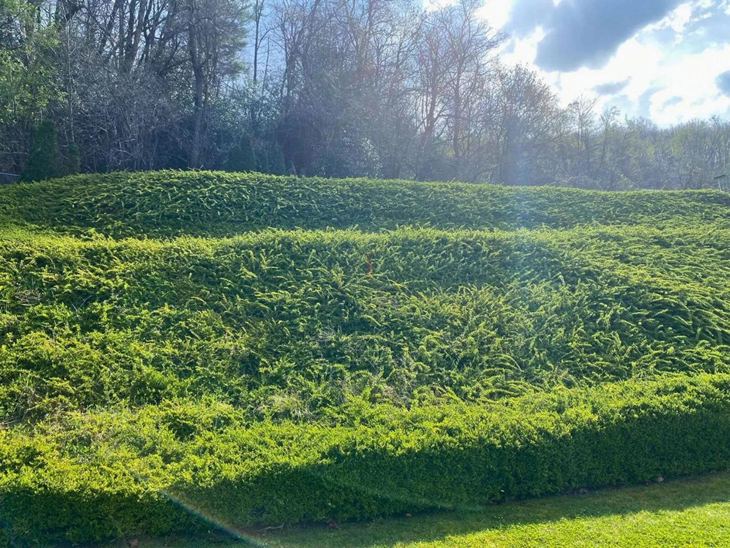 COSTRUISCI LA TUA CASA VISTA LAGO - Foto 5 di 10