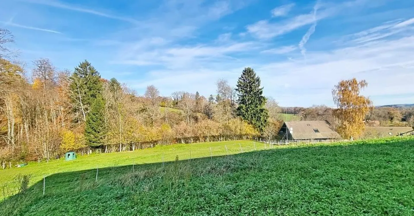 Spacious Villa in Corcelles-le-Jorat - Photo 1 of 10