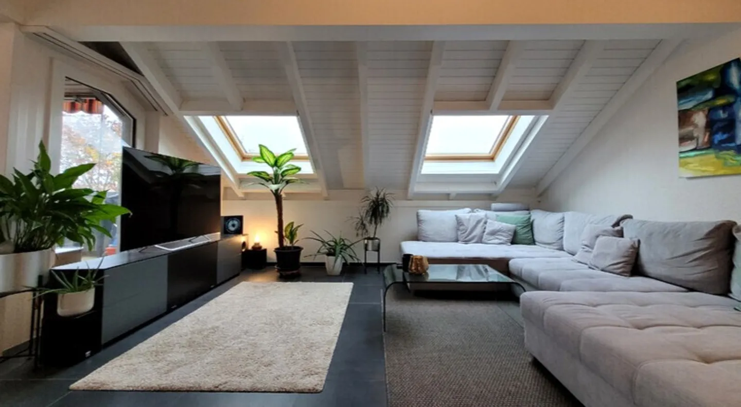 Sunny 4.5-Room Penthouse - Photo 1 of 10