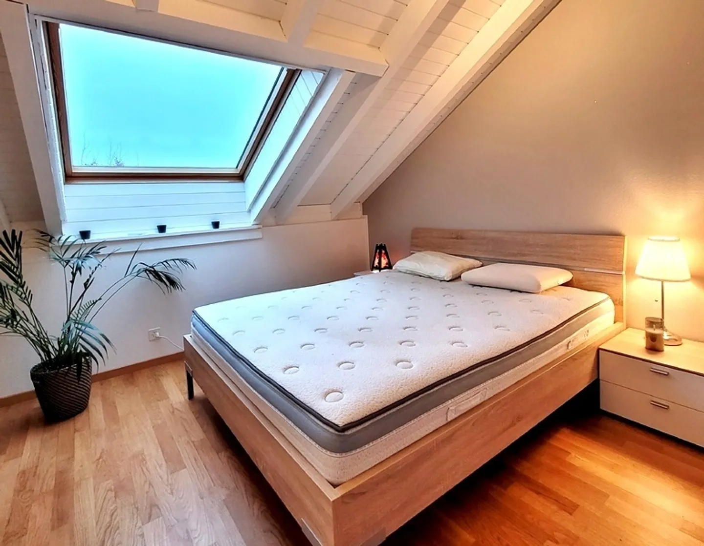 Sunny 4.5-Room Penthouse - Photo 4 of 10