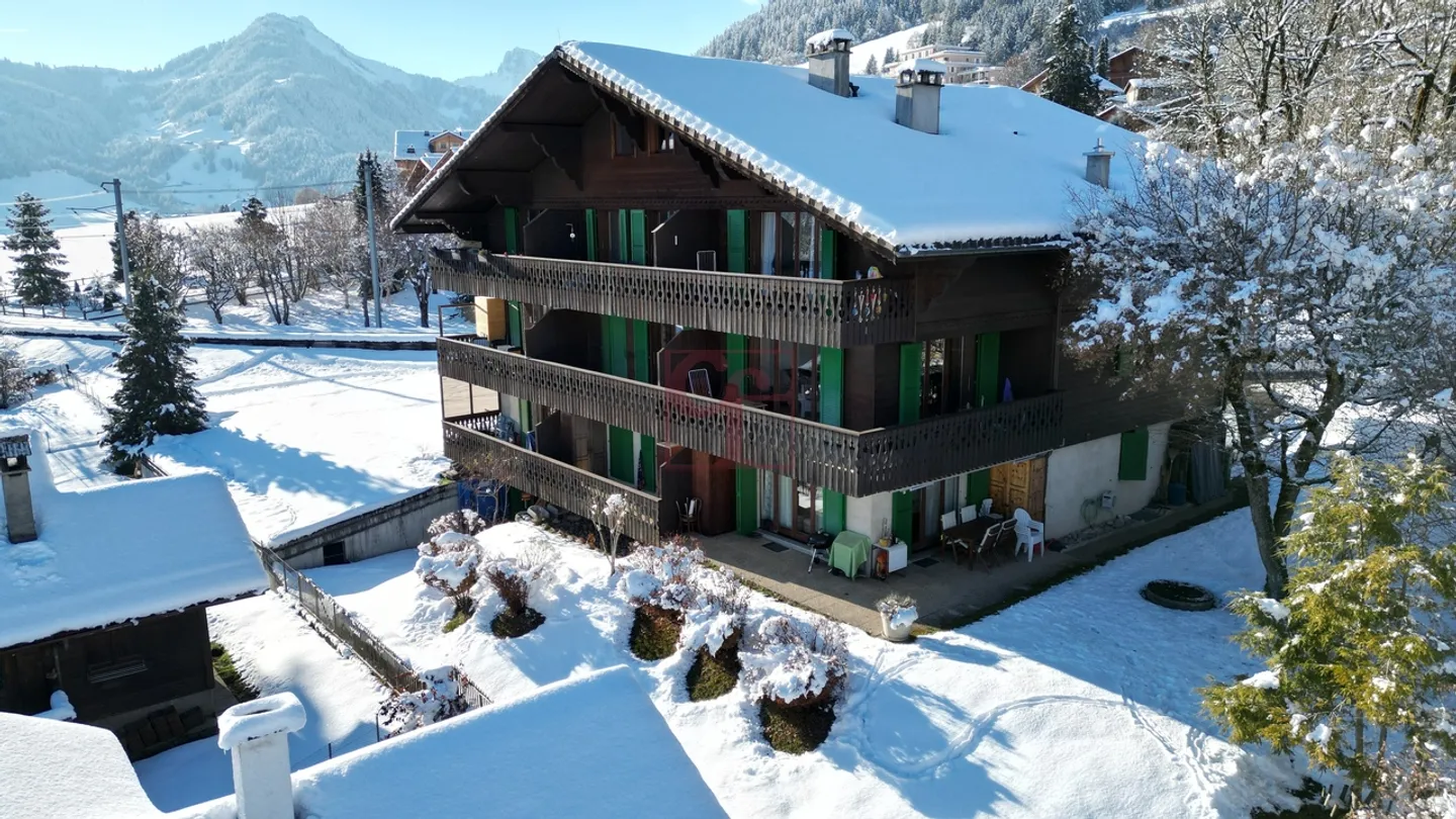 Château-d'Oex - Appartement dans une petite PPE proche du village - Photo 13 sur 13