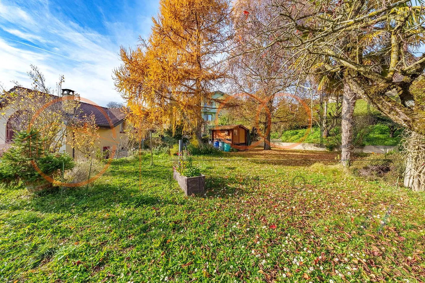 Casa a schiera 4.5 stanze - Foto 4 di 10