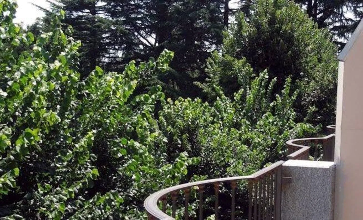 Casa plurifamiliare con vista lago - Foto 5 di 8