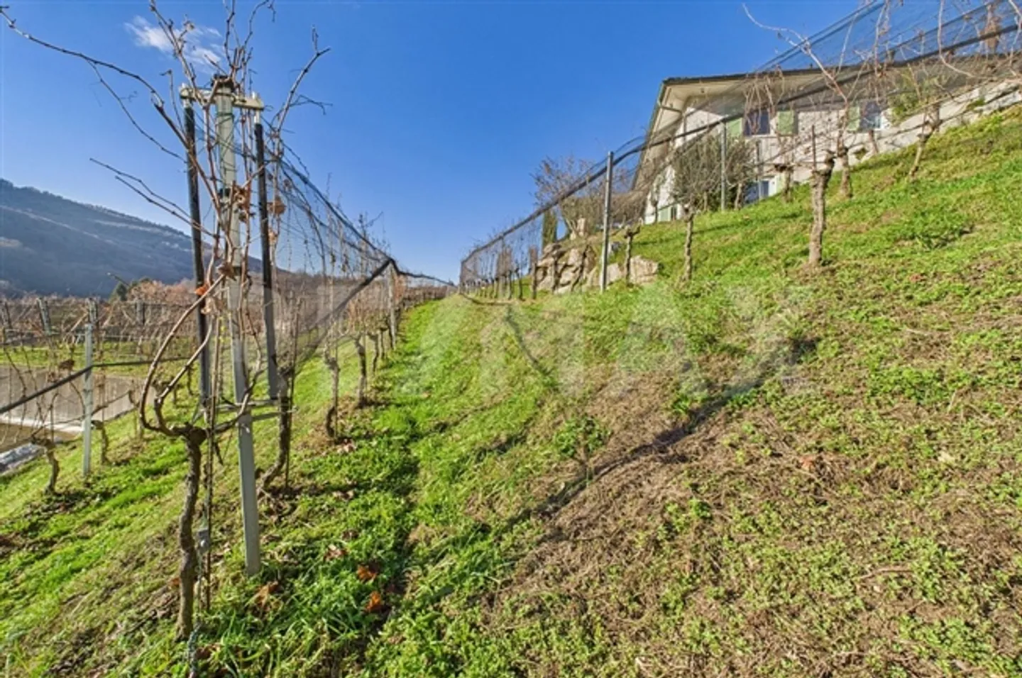 «Apartment» - Photo 4 sur 8