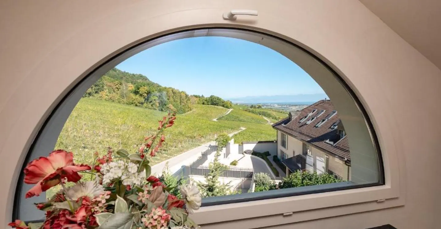 Magnificent property, view of the lake and the Alps - Photo 11 of 13