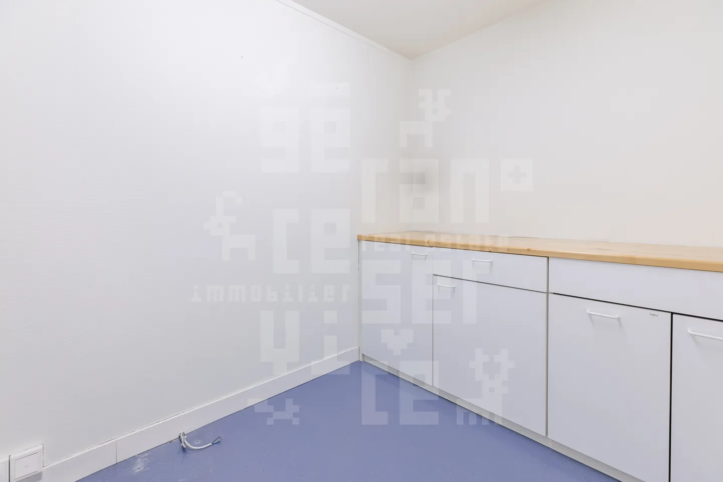 Daphné 02A - Foto 16 di 23