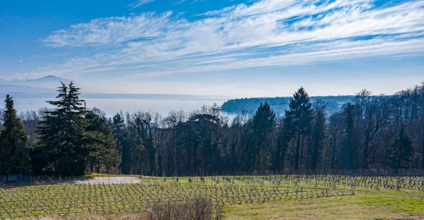 Außergewöhnliche Villa mit Seeblick - Foto 1 von 3