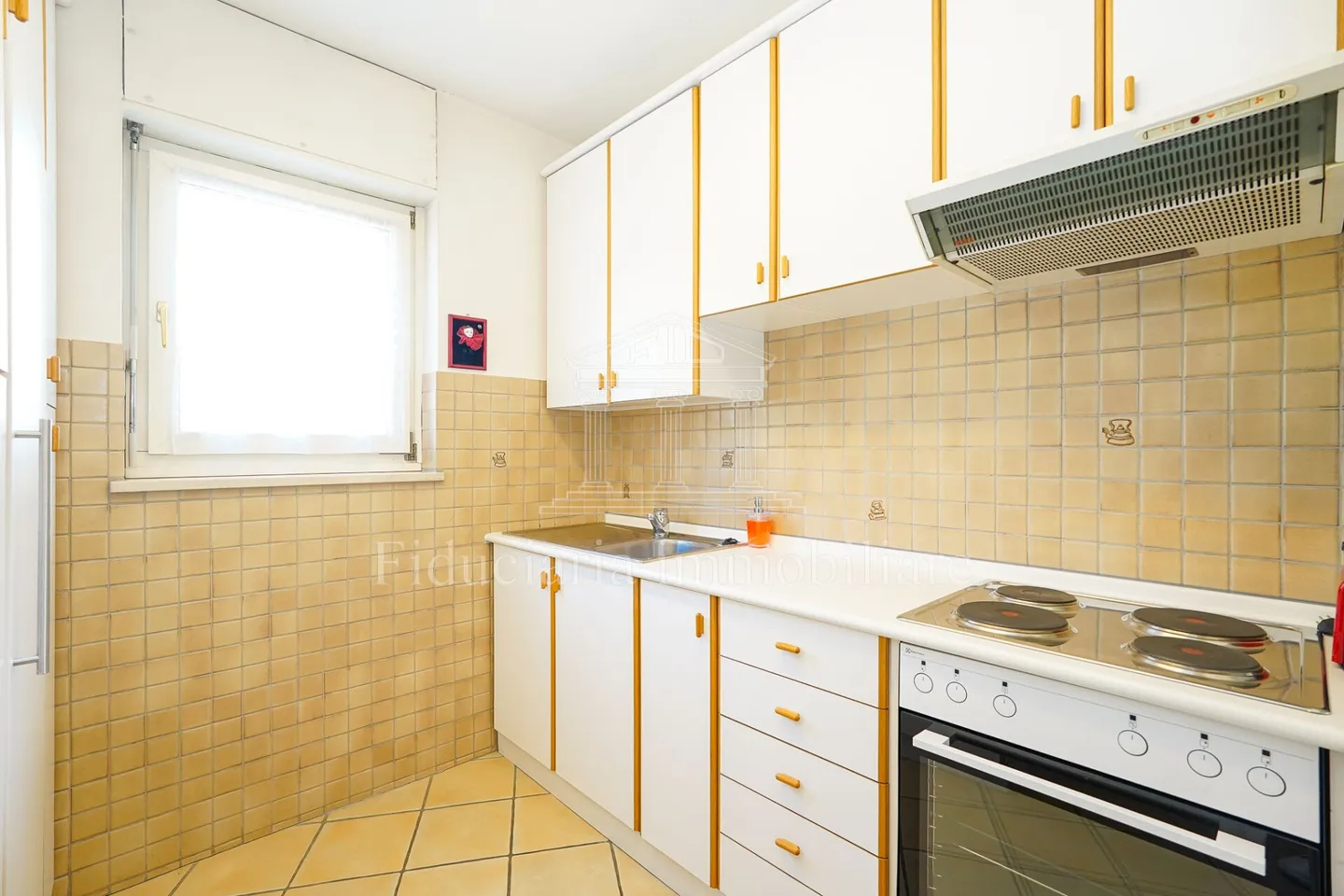 LOCARNO MONTI - Apartment with unbeatable lake view - Photo 6 of 9