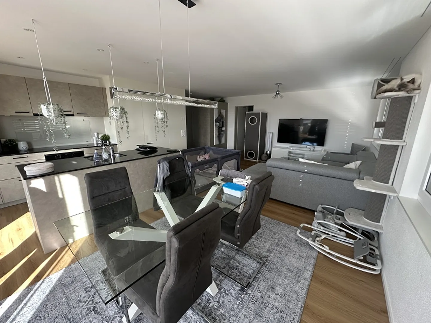 Modern, bright new apartment - Photo 3 of 13