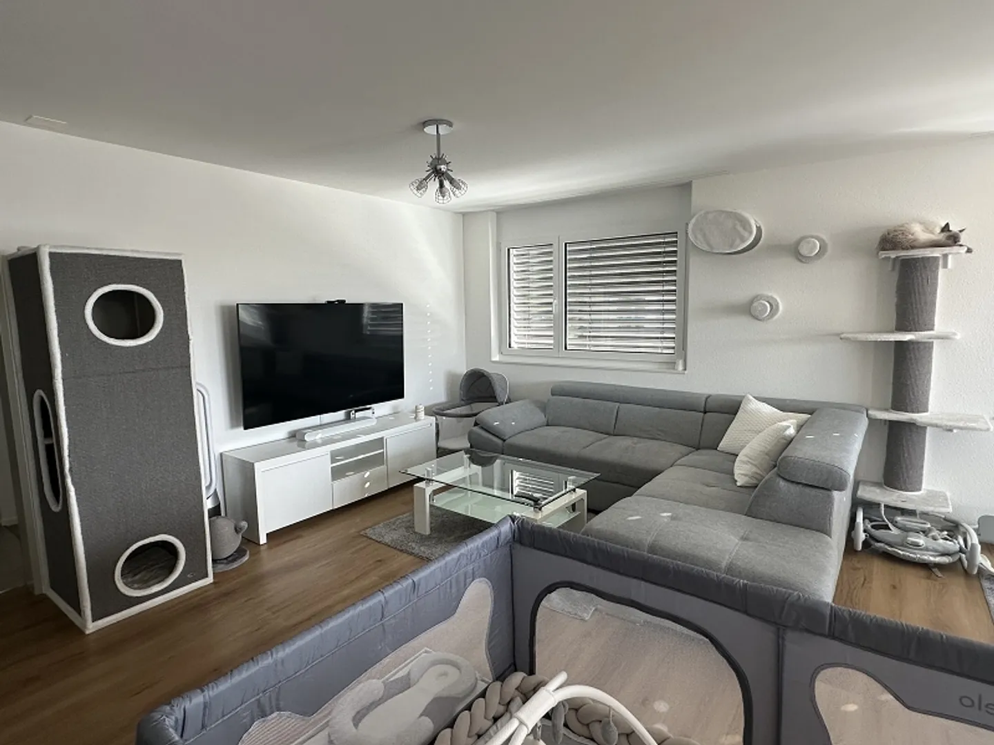 Modern, bright new apartment - Photo 8 of 13