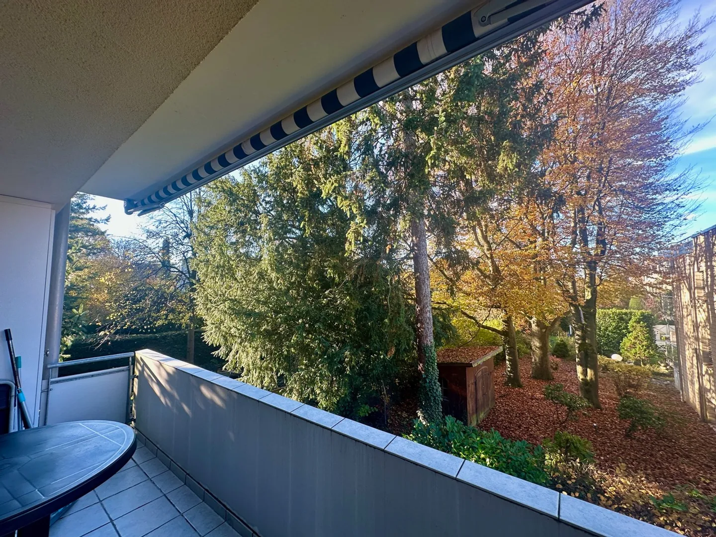Ottimo appartamento in una posizione tranquilla con vista sul verde a Riehen - Foto 3 di 14