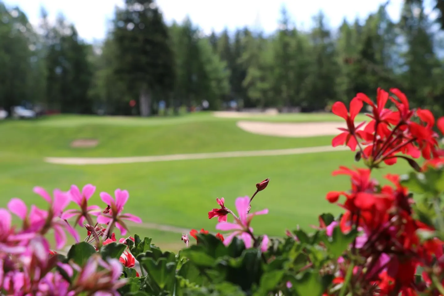 Appartement Duplex avec Vue Golf - Photo 11 sur 12
