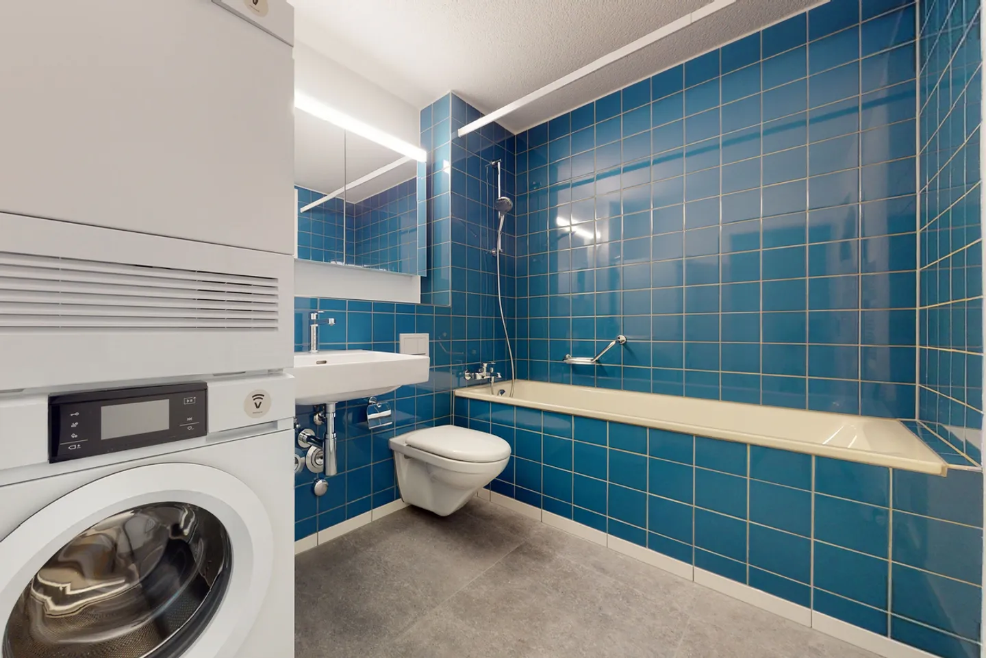 Spacious 4.5-Room Apartment - Photo 7 of 7