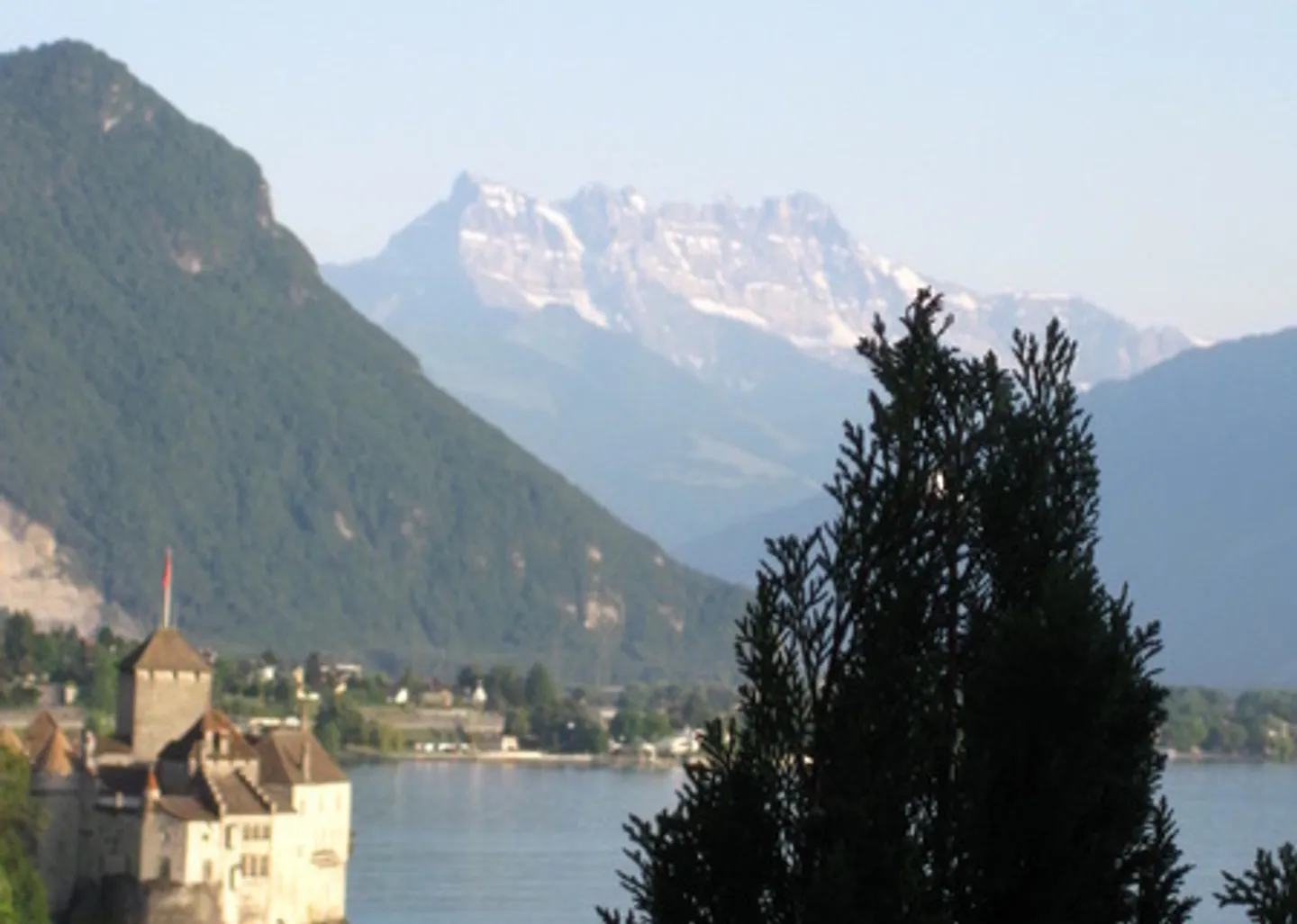 APPARTAMENTO 3½ STANZE A VEYTAUX (VD), ARREDATO, A TEMPO DETERMINATO - Foto 1 di 10